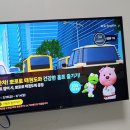 소금강버들펜션 이미지