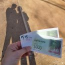 에코황토마을 | 담양 메타세쿼이아 가로수길 후기｜입장료 주차 메타세쿼이아랜드 아이와 가볼만한곳😍