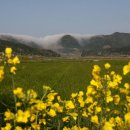 남도의 향기 이미지