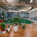 드림54 골프아카데미 이미지