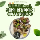 푸른환경 | [후기][2025.05.09.금요일]감탄푸른Class 1. 5월의 환경이야기