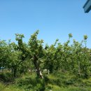 화평경로당 이미지