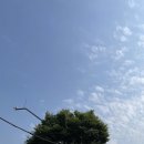 신이마미야루카디오 이더 맨 더 라이드