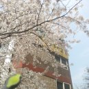 명문갈비 이미지