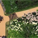 동산조경개발 이미지