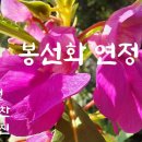 * 나에게 하는 칭찬 * // 대사증후군 (代謝症候群) 김정묵(내과 원장) //몸만 안으면 포옹이지만 마음까지 안으면 포용이다. 이미지