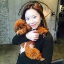 씽긋 이미지
