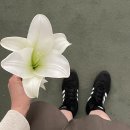 무인8 | 부산 저렴한 웨딩한복대여 &lt;정담 한복스토리&gt; (조건 없음, 가격공개, 결과물 사진 있음, 무인반납후기)