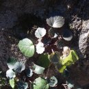 금강어린이공원 이미지