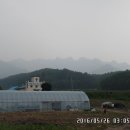 서부1마을회관 이미지