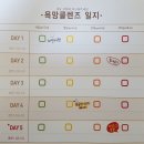 [내돈주고산후기]클렌즈 욕망스무디 20팩 5일 프로그램 후기-8/11~8/15(GS홈쇼핑구입)