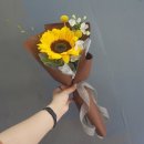 꽃방해바라기 이미지