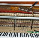 신월동118 이미지