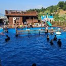 아이세상 태권도 이미지