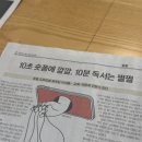 죽마고돈 | 죽마고돈 종각점/갓포우오 종각점방문후기 / 즐거운 4월 한달살이