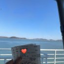 길식당 | 장봉도 당일치기 여행 장봉도 맛집 바닥길식당 내돈내산 후기