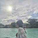세부 4일차_플렌테이션베이 리조트 놀거리(포토스팟+사바나 파크, 서핑 보드, 자전거)