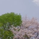 리틀포레스트미술학원