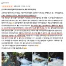 주식회사 스카이클래스 | 호주 케언즈 여행 추천 액티비티 - 래프팅 / 그레이트 배리어 리프 / 케언즈 스카이다이빙