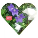 쌍림면사무소 이미지