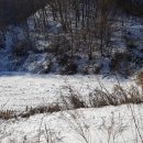 여주-1131 이미지