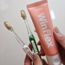 덴탈마트 | 26년 가정의 달+세일 동국제약 덴탈 치약 솔직 후기 윈플렉스 잇몸 치약 추천