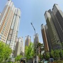 하늘별빛로1 이미지