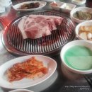 연탄춤추는돼지 이미지