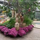 하서로523번길 이미지