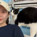하남고양이카페 미술체험공방 701아를고양이카페