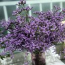 이든테라피 이미지