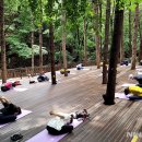 프로그램 이미지