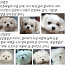 보배헤어 이미지
