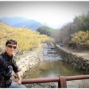 스타카클리닉 이미지