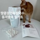 [땅끝정인숙칼국수] 팥죽 밀키트로 집에서 간편하게 동지 새알 팥죽만들기