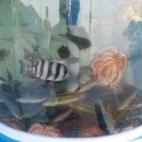 학동민박 이미지