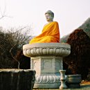 아라마 Daum카페