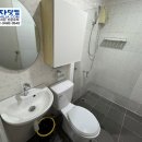 바닐바닐 이미지