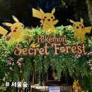 에스원건설(주) | [서울숲] 서울국제정원박람회가 한참 열리고 있는 서울숲에서 귀여운 피카츄 만나보기!