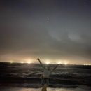 소심한이층