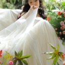 이벨라플로