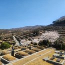 삼덕공원 앞 이미지