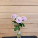 금강다방 - 전주시 완산구 문화광장로 30 | 금강다방