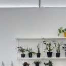 청주꽃집꽃대박 이미지