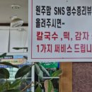 옥이닭한마리칼국수 이미지