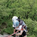 함양네파 이미지