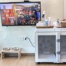 리니스 하우스 이미지