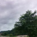 천도리양지마을 이미지