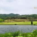 비고리조트 18 네이버블로그