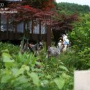 그랑샤리오 이미지